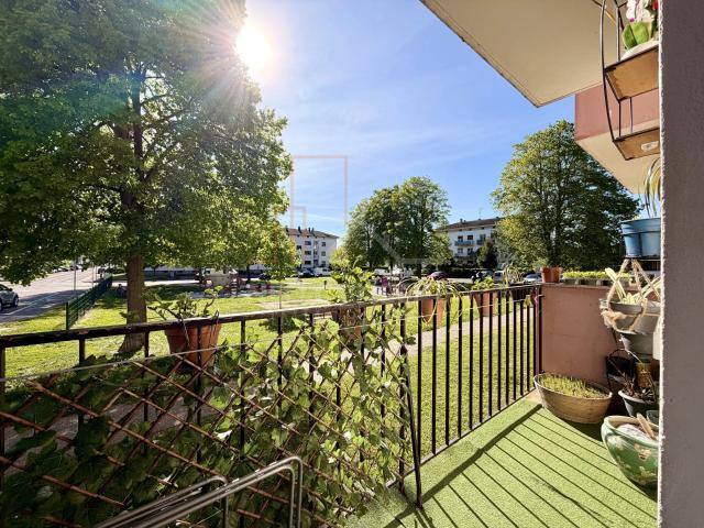 La Wantzenau Vente Appartement 67