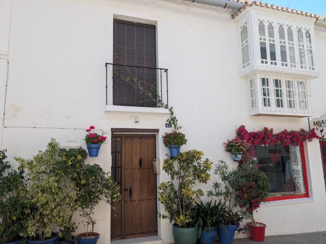 LA YEDRA