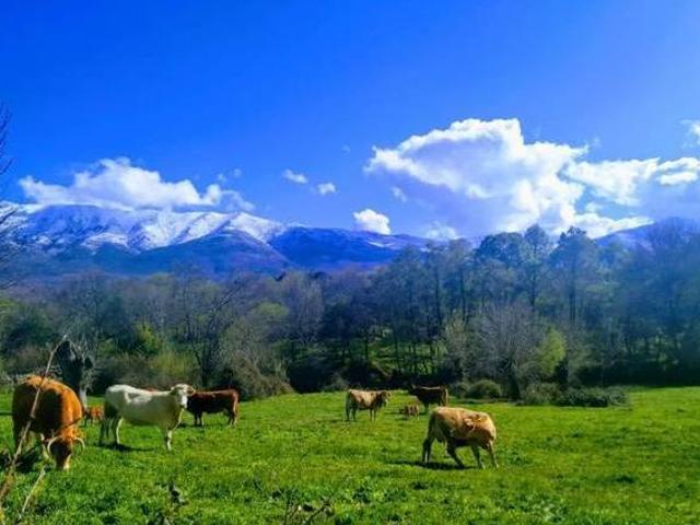 La Alborada de Navacervín Burgohondo Ávila