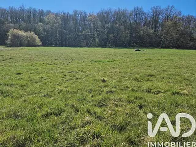 La Bachellerie 24210 Achat / Vente terrain