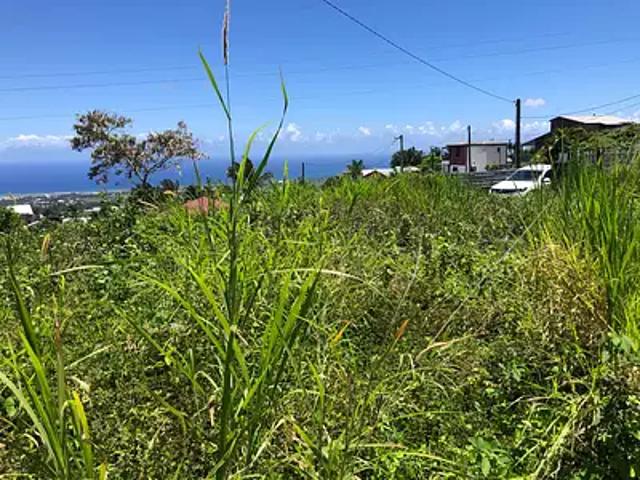 La Bretagne 97490 Achat / Vente terrain