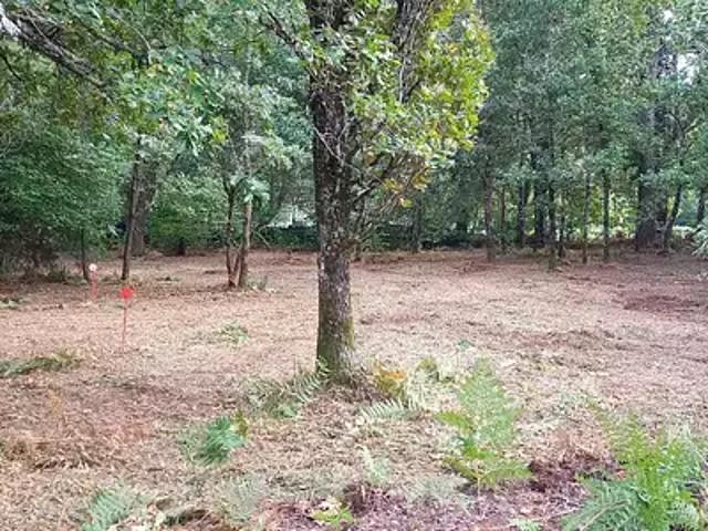 La Brède 33650 Achat / Vente terrain