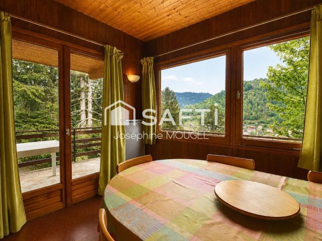 La Bresse Vente Maison 88