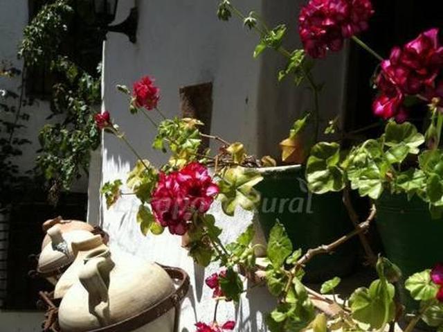 La Casa de Corruco