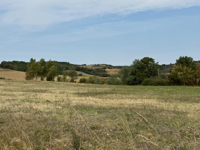 La Cassaigne Vente Terrain 11