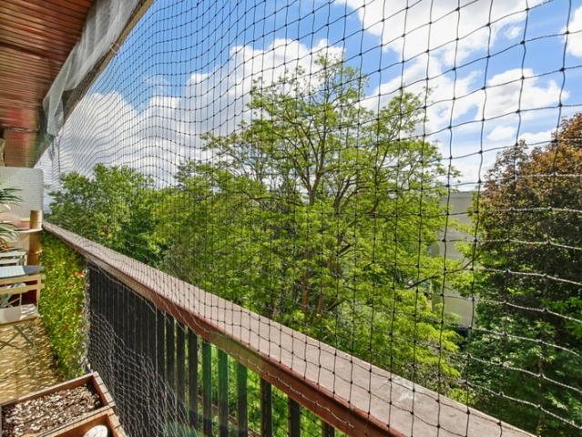 La Celle Saint Cloud Vente Appartement 78