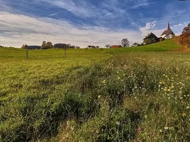 La Chaize le Vicomte 85310 Programme neuf terrain neuf à vendre