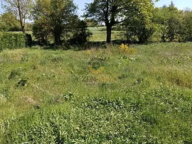 La Chapelle Bertrand 79200 Achat / Vente terrain