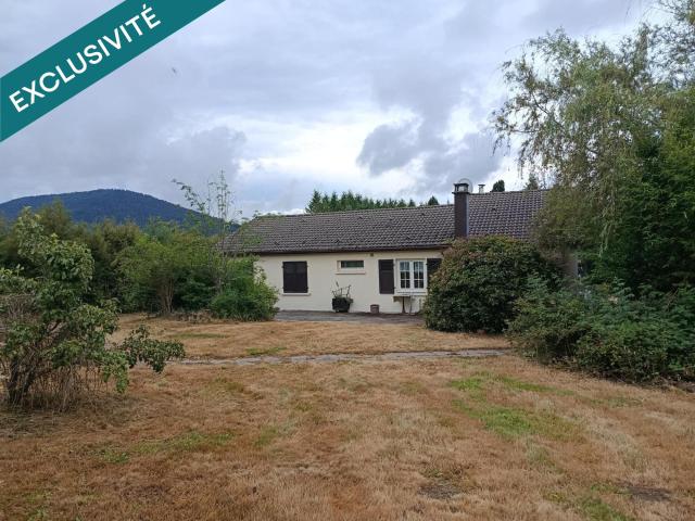 La Chapelle devant Bruyères Vente Maison 88
