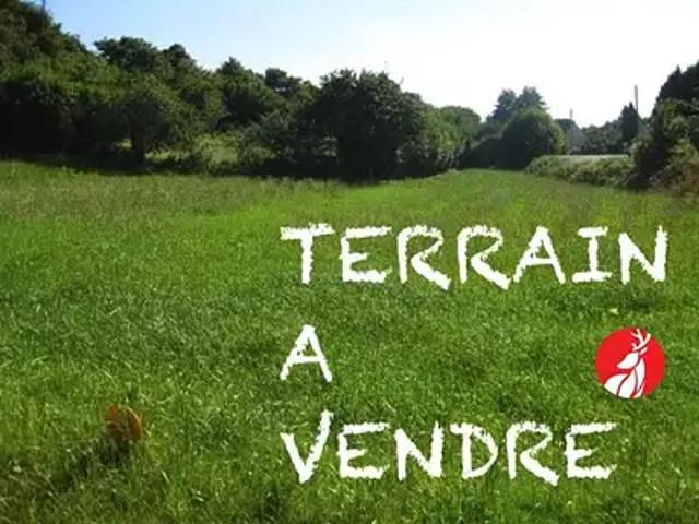 La Chapelle la Reine 77760 Achat / Vente terrain