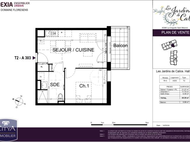 La Chapelle Saint Mesmin Vente Appartement 45