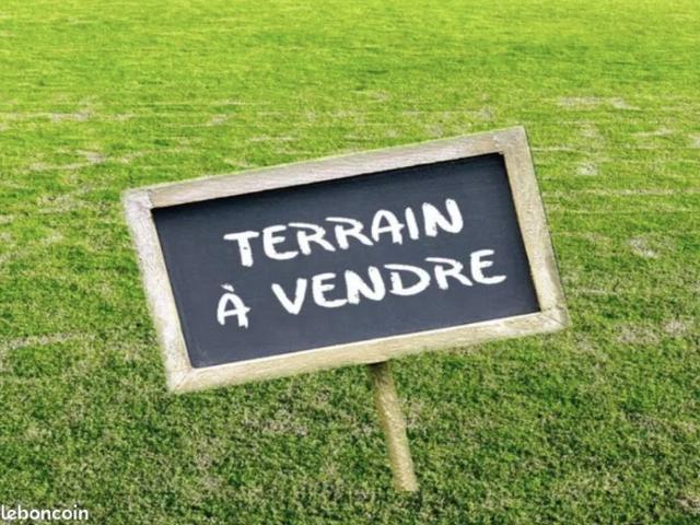 La Chapelle Saint Mesmin Vente Terrain 45
