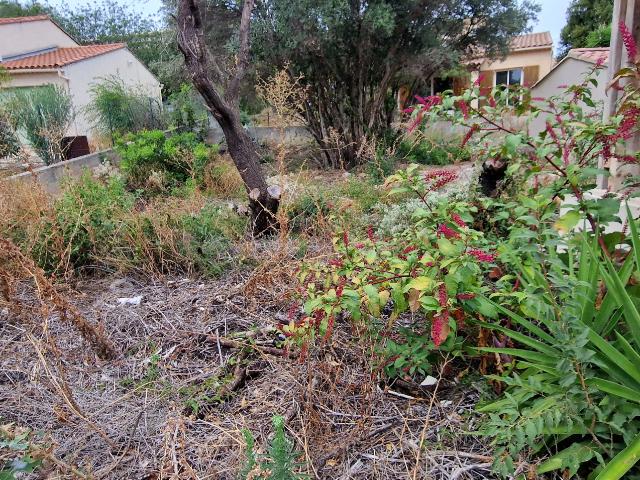 La ciotat cretes: Terrain constructible