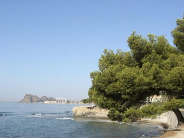 La Ciotat Vente Appartement 13