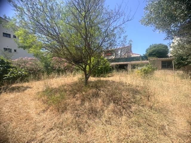 La Ciotat Vente Terrain 13