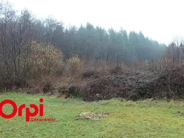 La Côte 70200 Achat / Vente terrain
