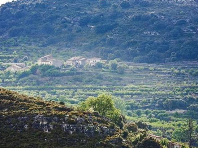 La Covarxella Culla Castellón
