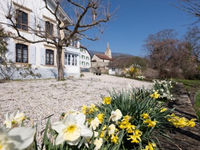 La Demeure au Marronnier – Ein außergewöhnliches Anwesen im Herzen der Waadder Weinberge