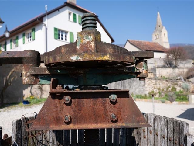La Demeure au Marronnier – Ein besonderes Anwesen im Herzen des Waadtländer Weinbaugebiets