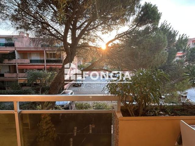 La faviere bormes les mimosas