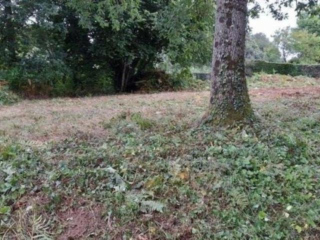 La Ferté Macé Vente Terrain 61