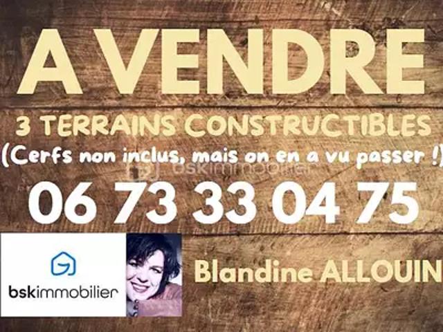 La Ferté Saint Cyr 41220 Achat / Vente terrain