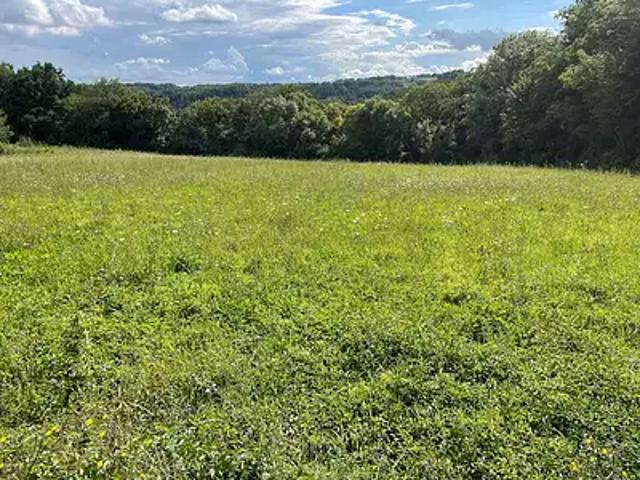 La Ferté sous Jouarre 77260 Achat / Vente terrain