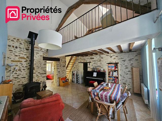 La Ferrière de Flée Vente Maison 49