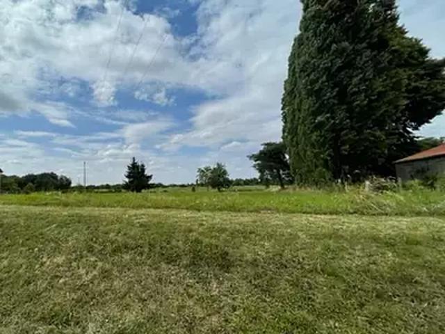 La Forestière 51120 Achat / Vente terrain