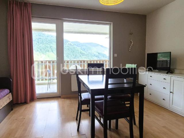 La Foux D Allos Vente Appartement 04