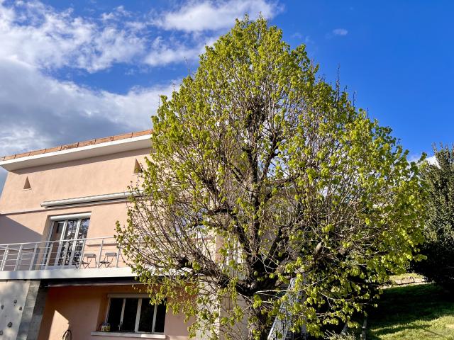 La Fouillouse Maison rénovée avec terrasse plein sud, 3 chambres et garage avec potentiel d'aménagement