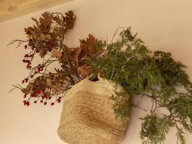La Galiana Loft Nature Casarejos Soria