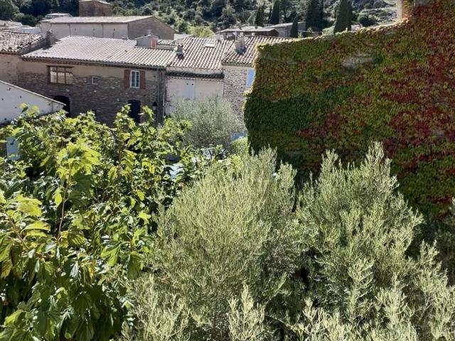 La Garde Freinet Vente Maison 83