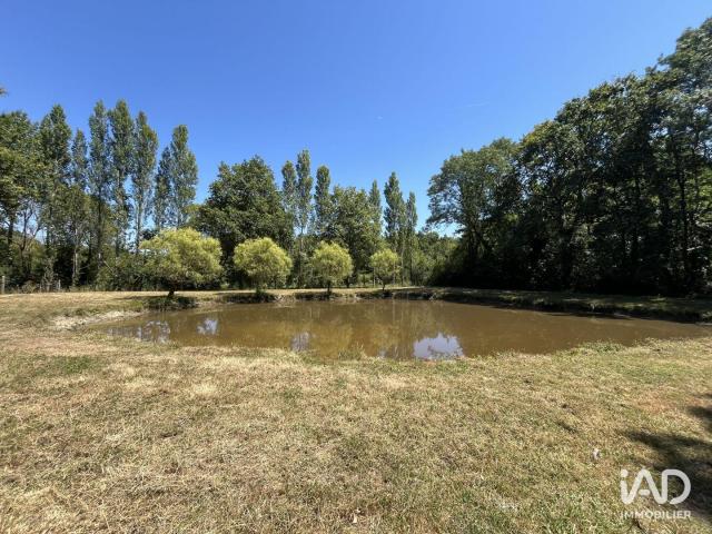 La Garnache Vente Terrain 85