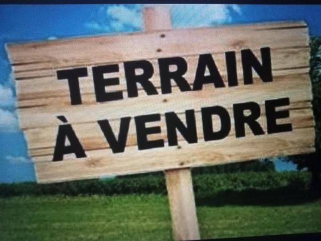 La Garnache Vente Terrain 85