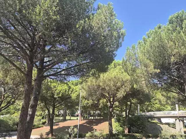 La Grande Motte 34280 Achat / Vente appartement 2 pièces t2
