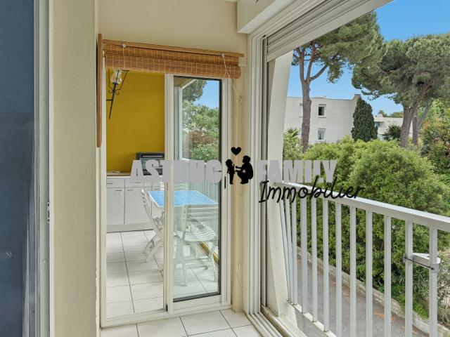 LA GRANDE MOTTE Appartement 1 chambre PARKING possible