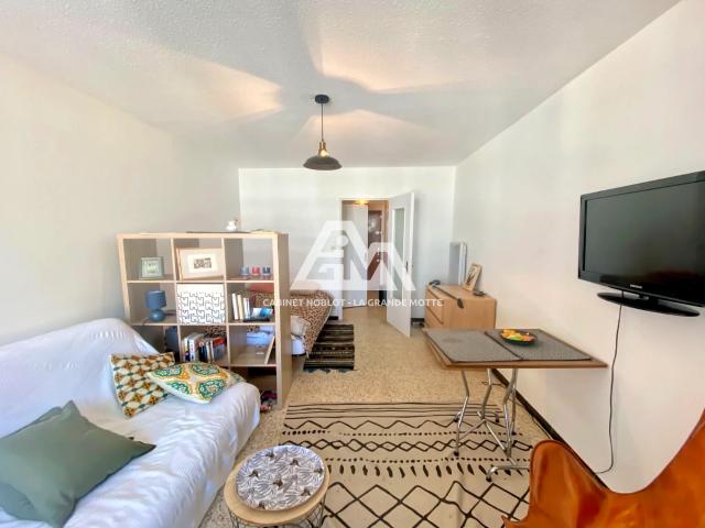 La Grande Motte Vente Appartement 34