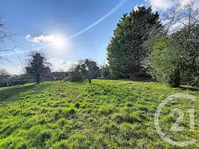 La Grande Paroisse 77130 Achat / Vente terrain