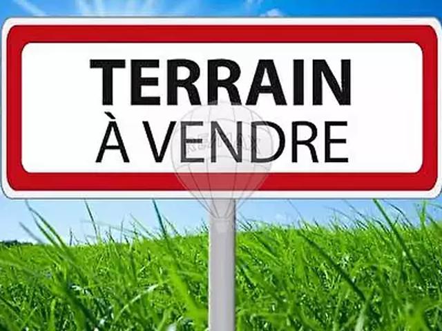 La Grande Paroisse 77130 Achat / Vente terrain