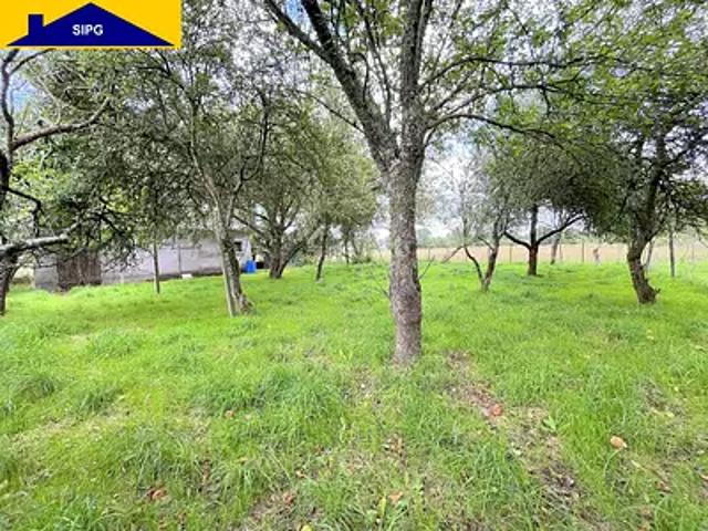 La Guerche de Bretagne 35130 Achat / Vente terrain