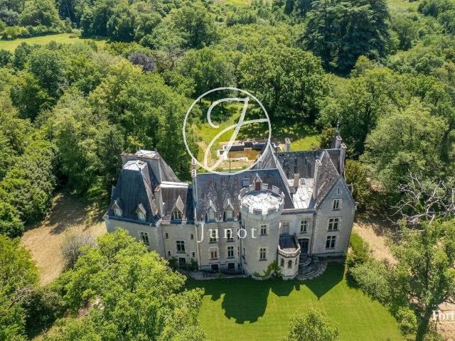 La Guerche sur l'Aubois Cher Château XIXème boutique Hôt. 1173m² La Guerche sur l'Aubois