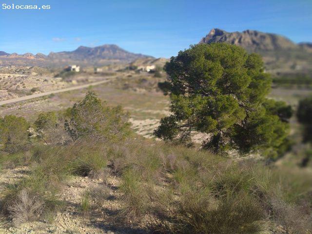 La Hurona – Molina de Segura Murcia