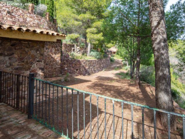 La joya del Desierto de las Palmas