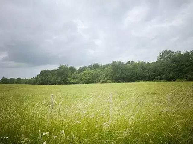 La Lande de Fronsac 33240 Programme neuf terrain neuf à vendre