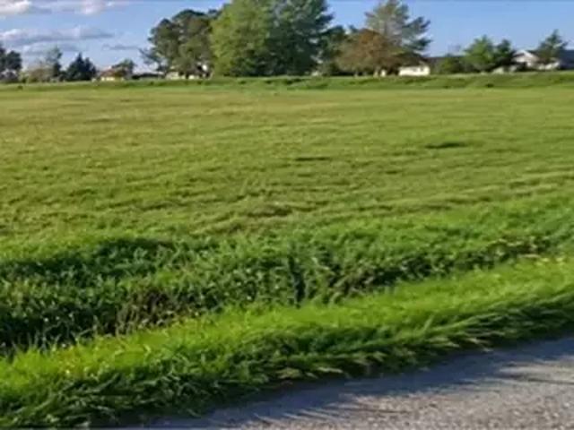 La Lande de Fronsac 33240 Programme neuf terrain neuf à vendre