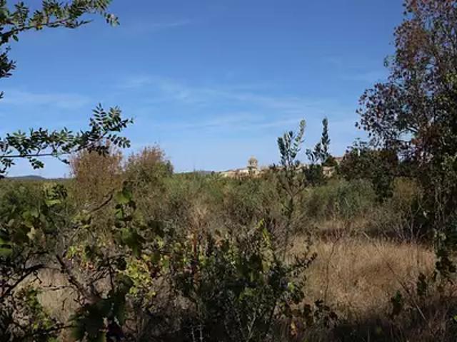 La Livinière 34210 Achat / Vente terrain
