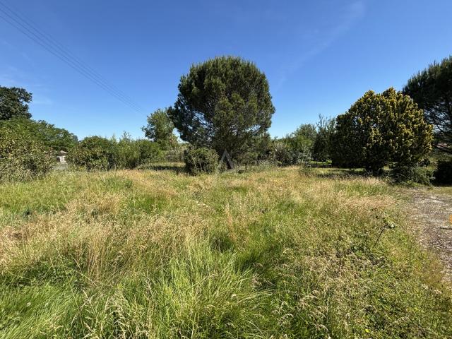 La Magdelaine sur Tarn Vente Terrain 31