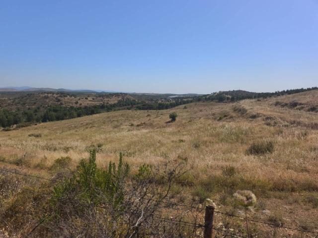 LA MEJOR FINCA AL MEJOR PRECIO EN CALAÑAS