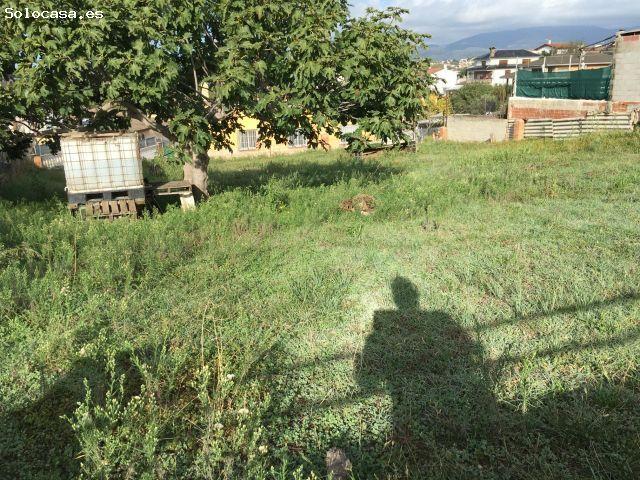 La mejor parcela de la urbanización¡